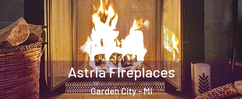  Astria Fireplaces Garden City - MI