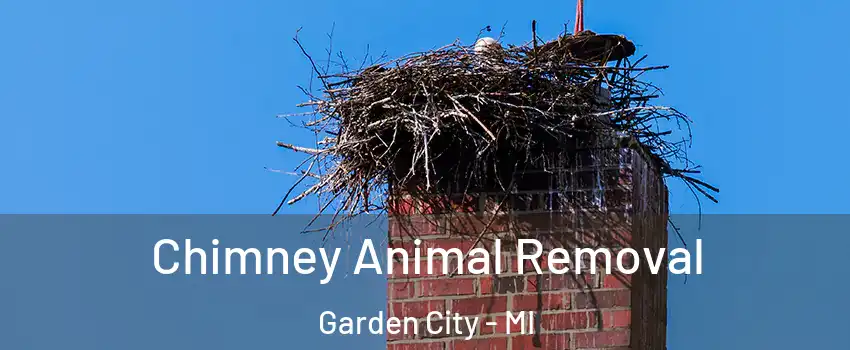  Chimney Animal Removal Garden City - MI