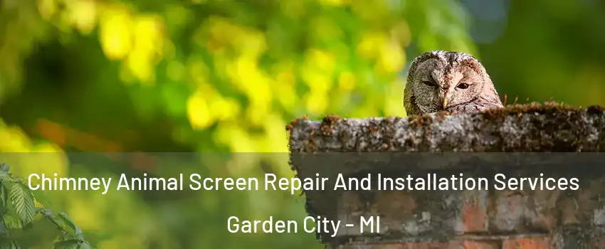  Chimney Animal Screen Repair And Installation Services Garden City - MI