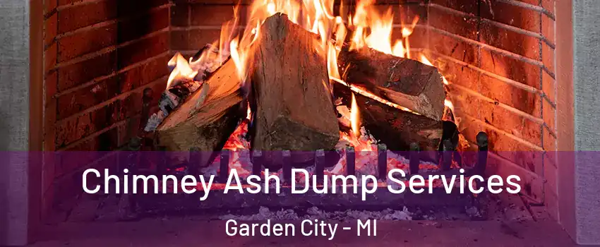  Chimney Ash Dump Services Garden City - MI