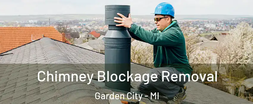  Chimney Blockage Removal Garden City - MI