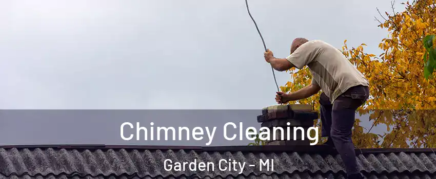  Chimney Cleaning Garden City - MI