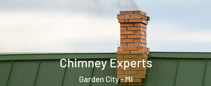  Chimney Experts Garden City - MI