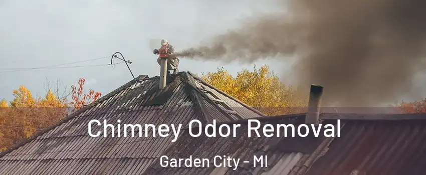  Chimney Odor Removal Garden City - MI