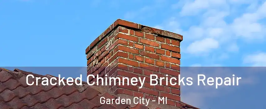  Cracked Chimney Bricks Repair Garden City - MI