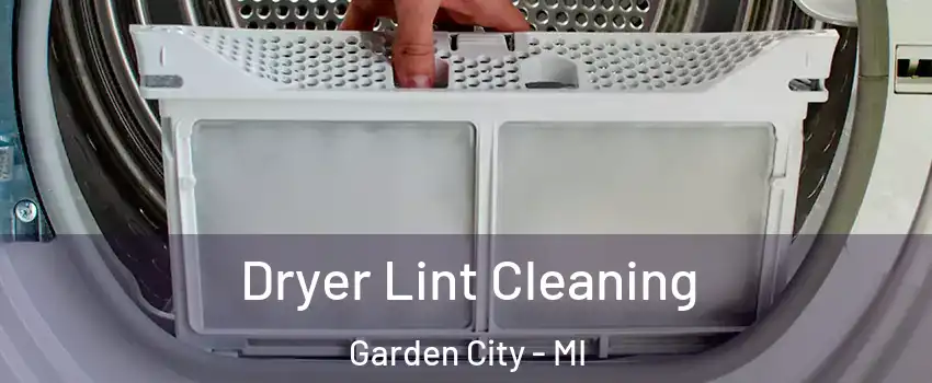  Dryer Lint Cleaning Garden City - MI