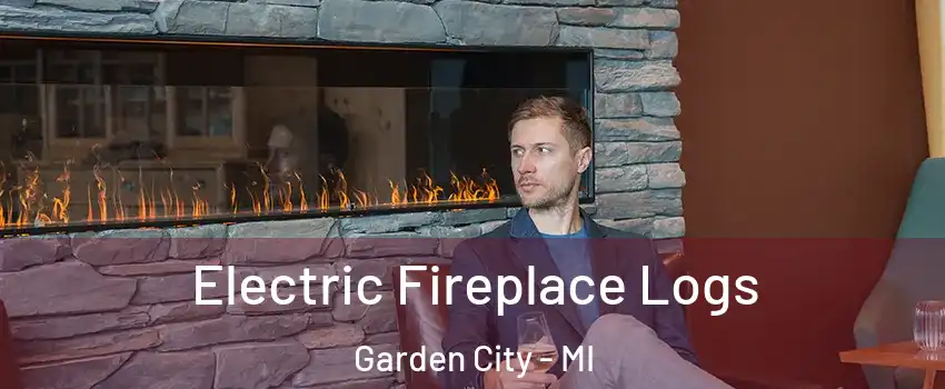  Electric Fireplace Logs Garden City - MI