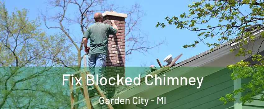  Fix Blocked Chimney Garden City - MI