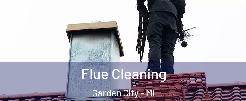  Flue Cleaning Garden City - MI