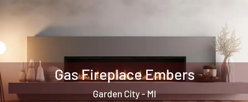  Gas Fireplace Embers Garden City - MI