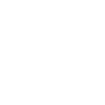 Professional Chimney Flue Installation in Garden City, Michigan