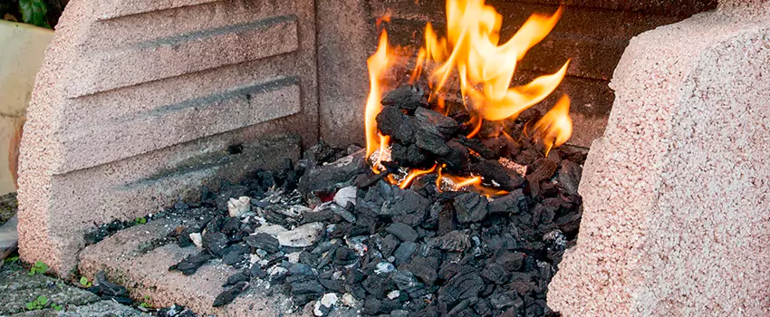 Remove Creosote From Brick in Garden City, MI