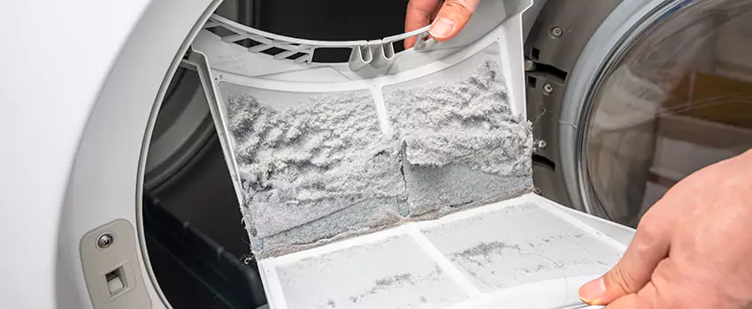 Best Dryer Lint Removal Company in Garden City, Michigan