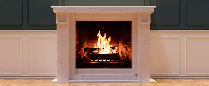 Empire Comfort Systems Fireplace Installation and Replacement in Garden City, Michigan