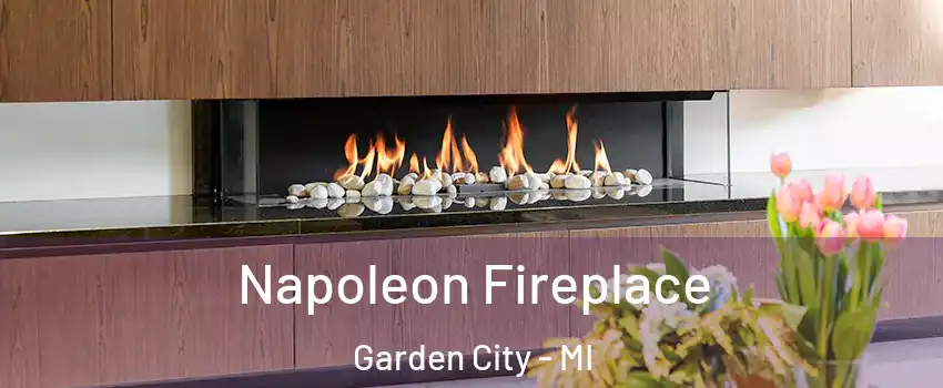  Napoleon Fireplace Garden City - MI